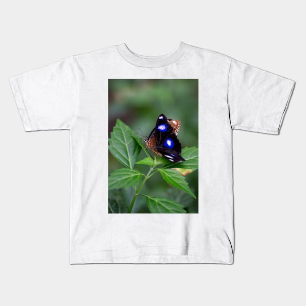 Common Eggfly and Friend Kids T-Shirt by GP1746